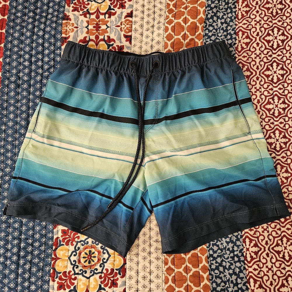EveryDay Sunday Men's Size‎ M Swimwear Lined Board Shorts Striped Blue Colorway